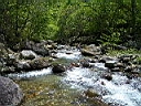 2007-05-22 004.JPG